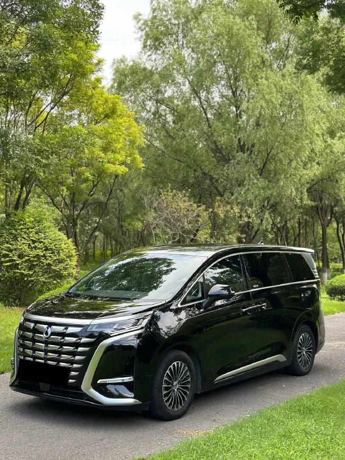 2022 Denza D9 1.5T 139HP L4 E-CVT PHEV 40.06KWH