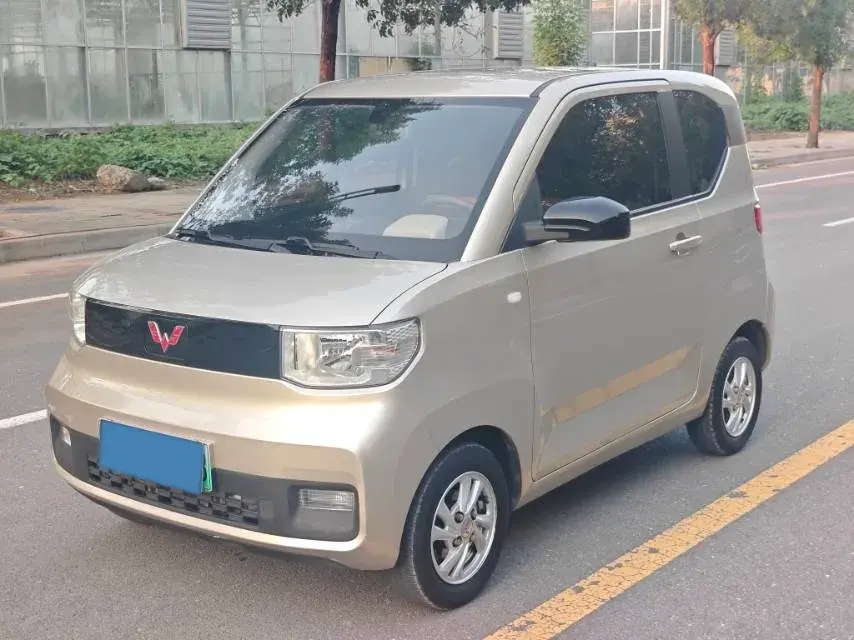 2020 WuLing HongGuang MINI EV BEV 13.8KWH