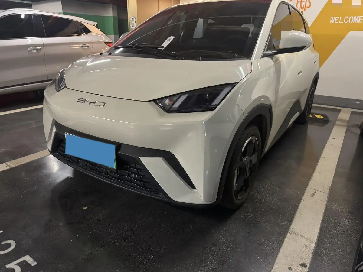 2023 BYD Seagull BEV 30.08KWH