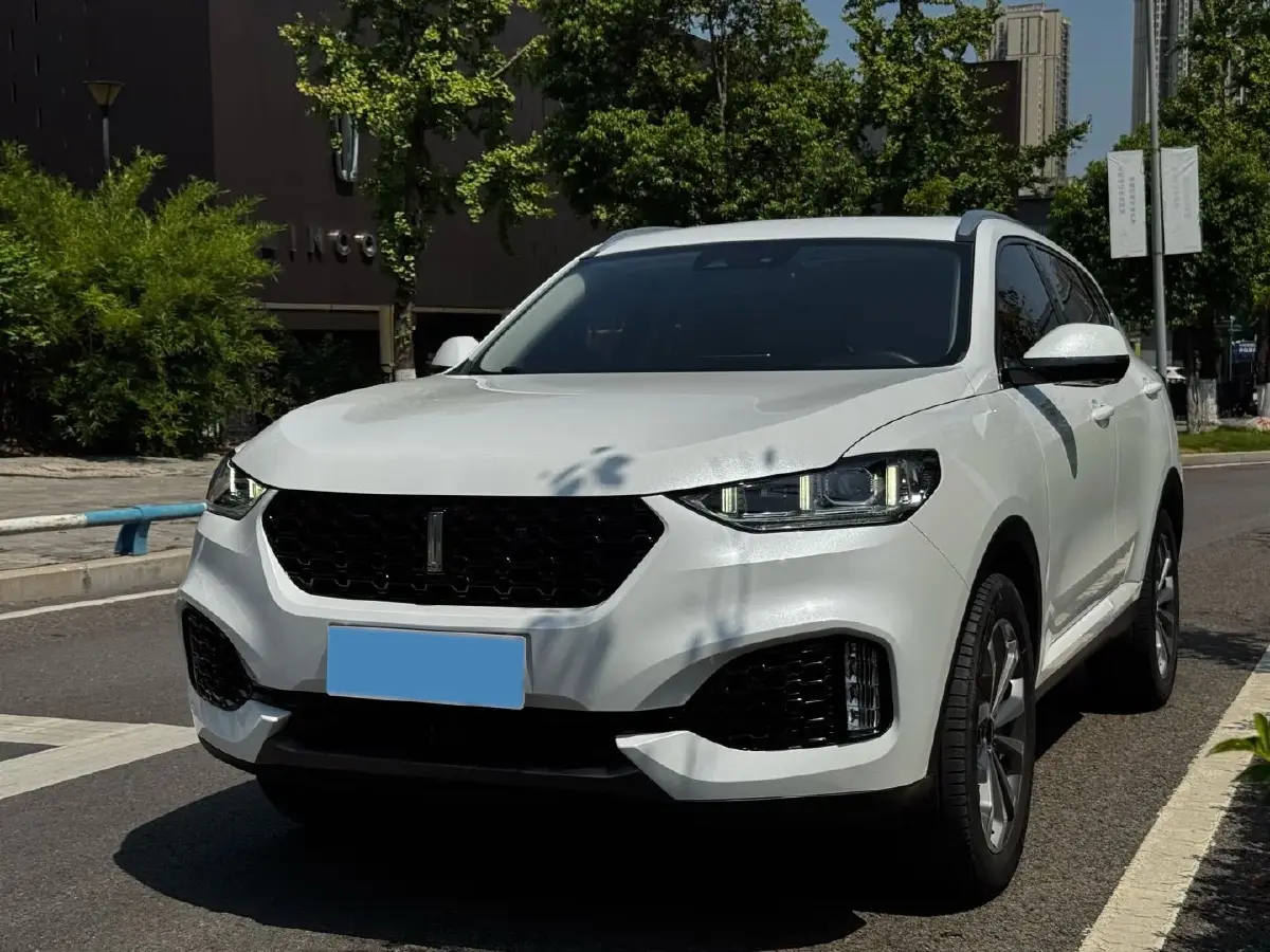 2018 WEY VV6 2.0T 197HP L4 7DCT