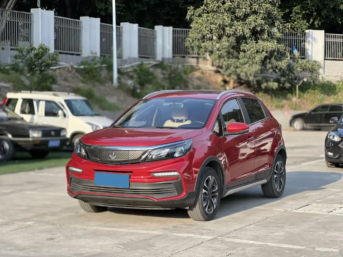 2020 Livan Maple 30X BEV 37KWH