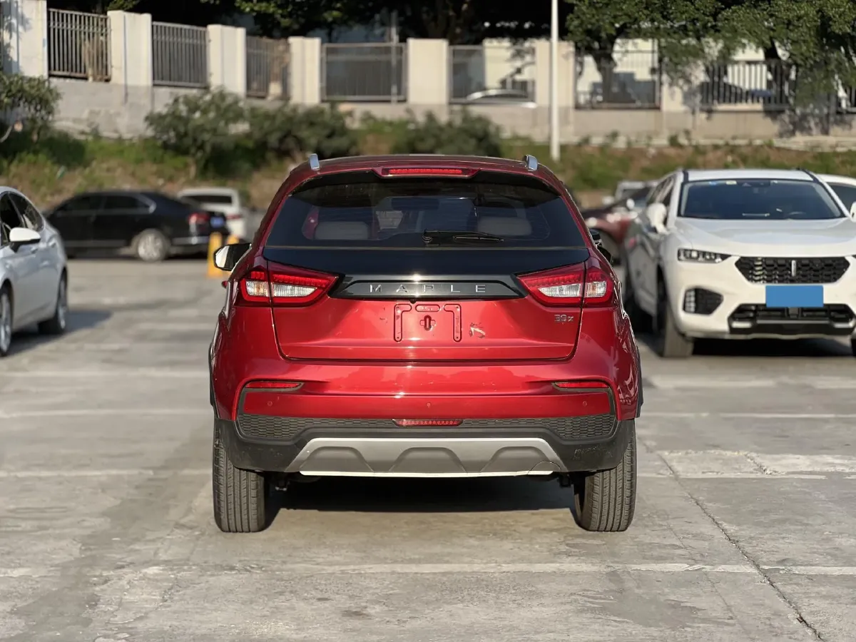 2020 Livan Maple 30X BEV 37KWH,autocango,china used car exporter,china ev exporter,chinese used car exporter,chinese used ev exporter