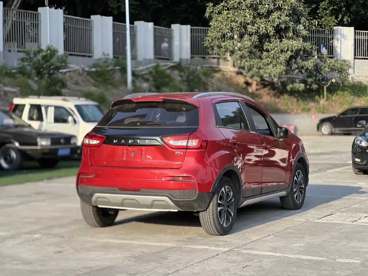 2020 Livan Maple 30X BEV 37KWH,autocango,china used car exporter,china ev exporter,chinese used car exporter,chinese used ev exporter