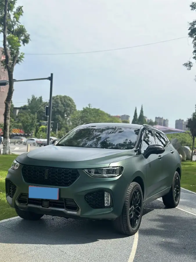 2017 WEY VV5 2.0T 197HP L4 7DCT