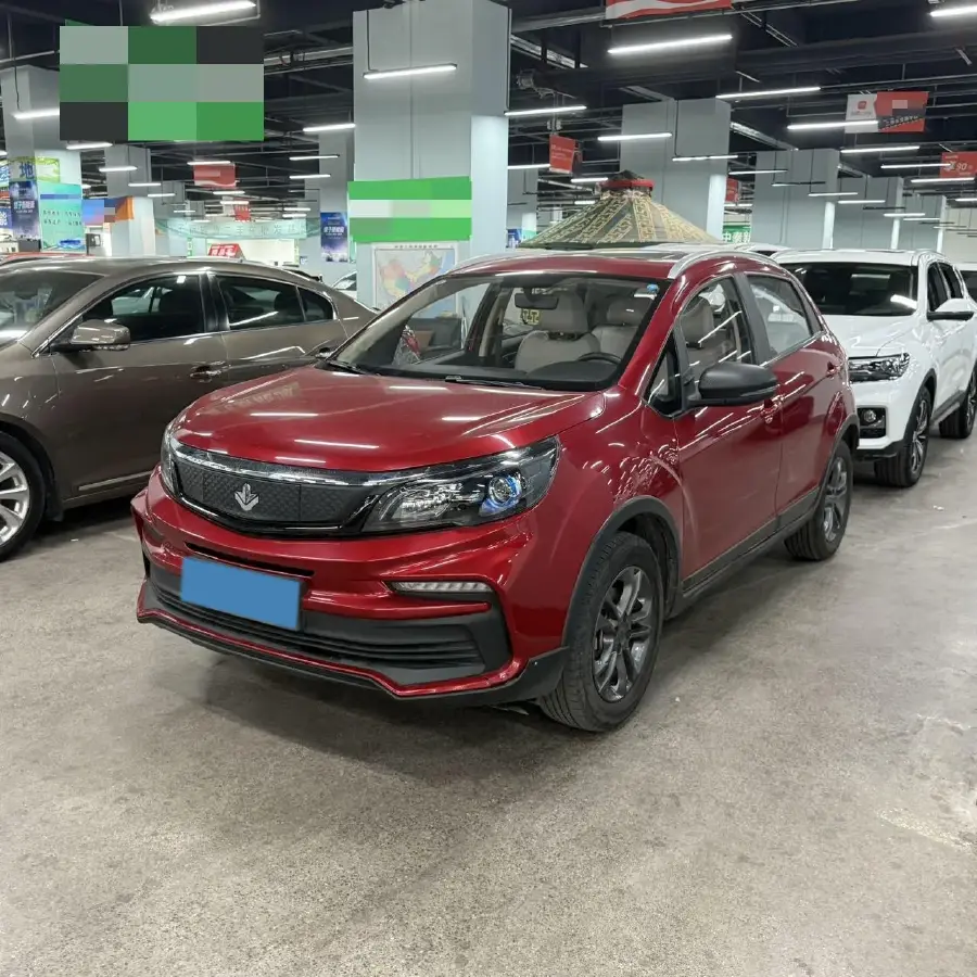 2020 Livan Maple 30X BEV 37KWH