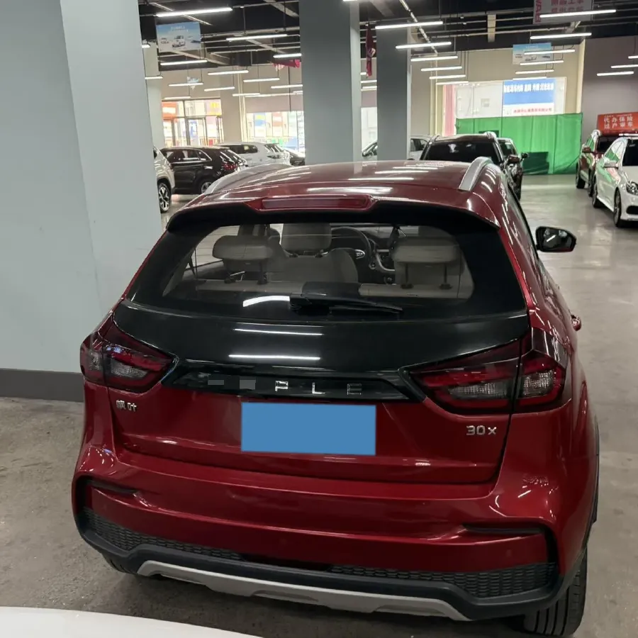 2020 Livan Maple 30X BEV 37KWH,autocango,china used car exporter,china ev exporter,chinese used car exporter,chinese used ev exporter