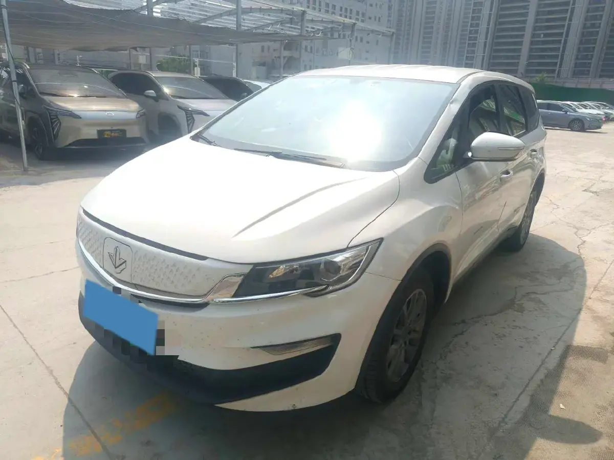 2021 Livan Maple 80v BEV 53KWH