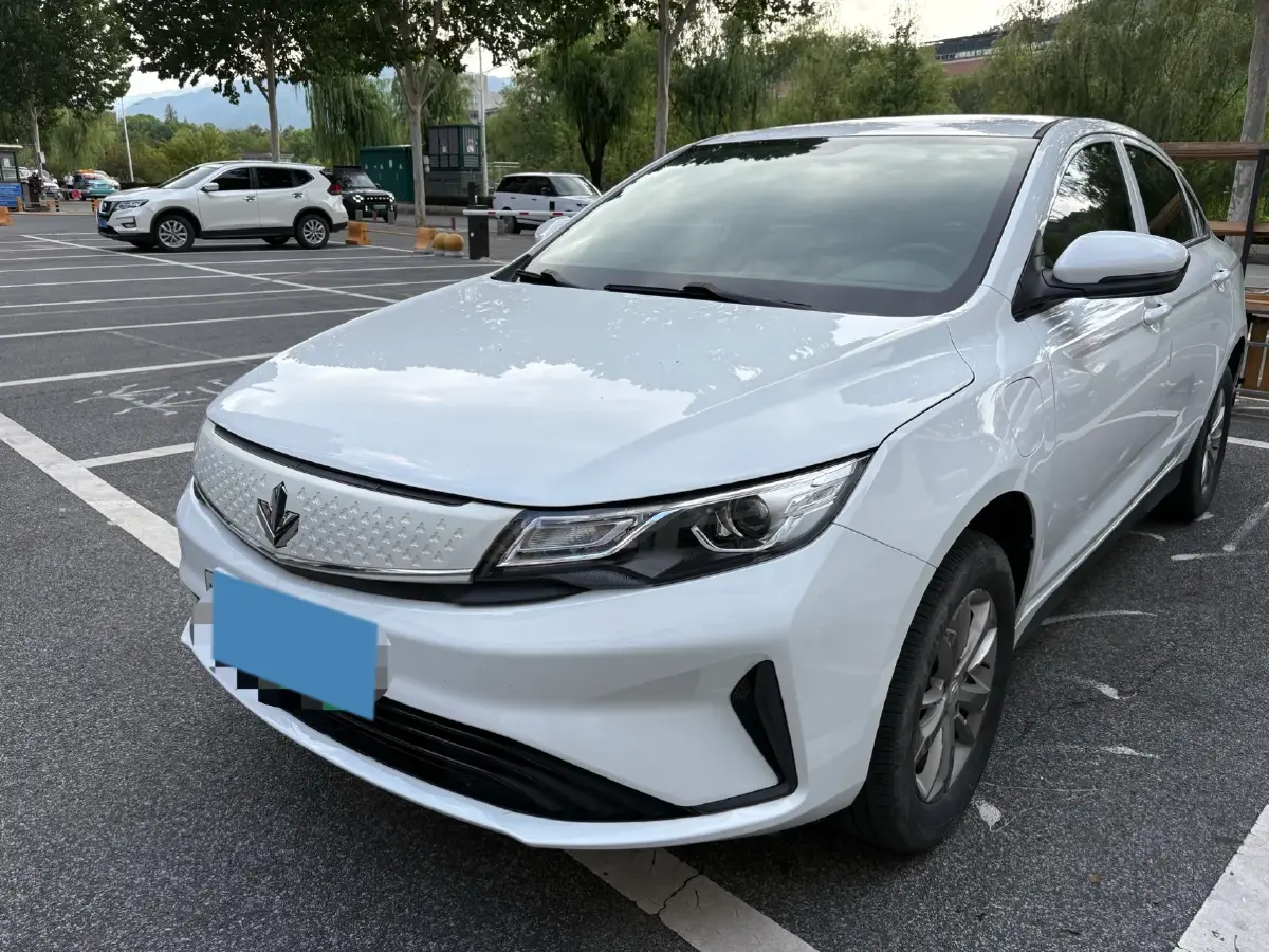 2022 Livan Maple 60s BEV 51.8KWH