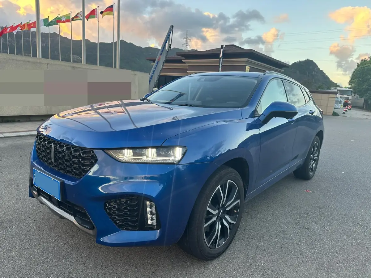 2019 WEY VV7 2.0T 227HP L4 7DCT