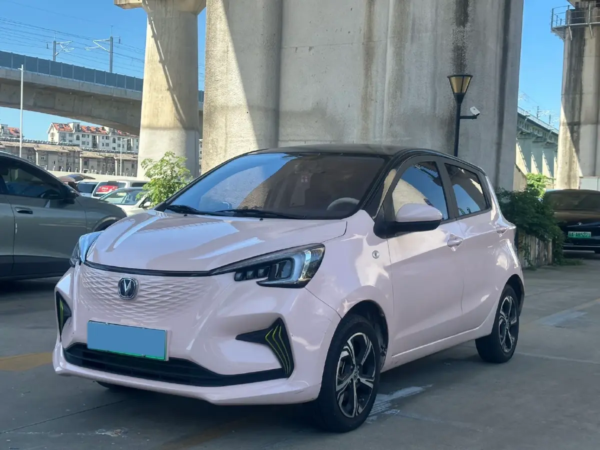 2023 ChangAn BenBen E-Star BEV 30.95KWH