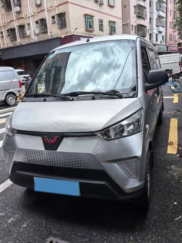 2020 WuLing EV50 BEV 41.86KWH