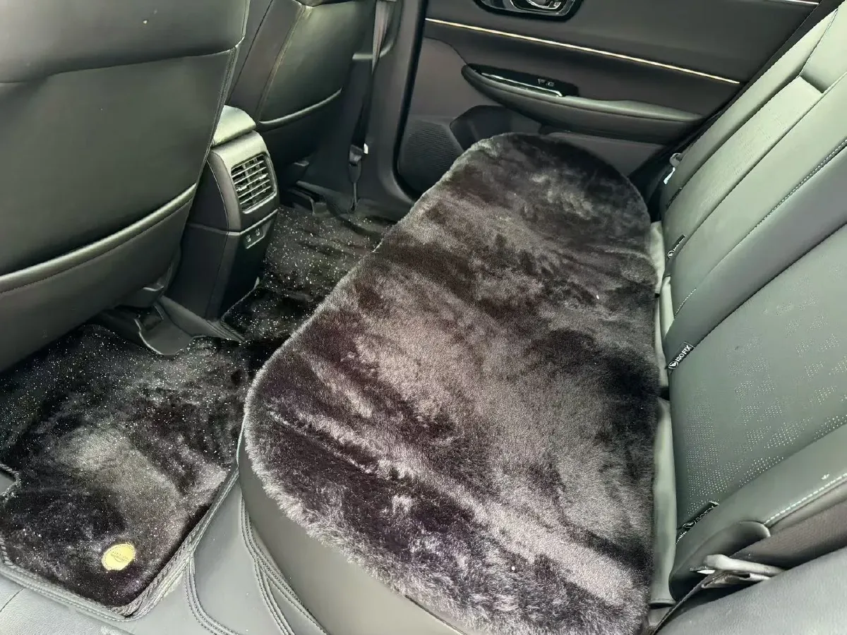 2024 Honda e:NP2 BEV 68.8KWH,autocango,china used car exporter,china ev exporter,chinese used car exporter,chinese used ev exporter