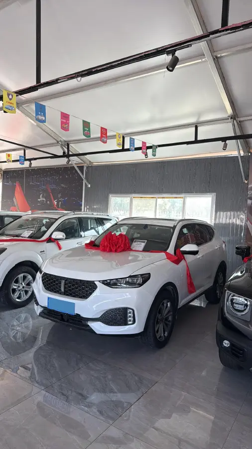 2020 WEY VV6 2.0T 227HP L4 7DCT