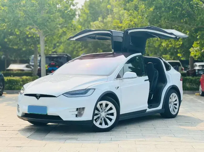 2019 Tesla Model X BEV 100KWH