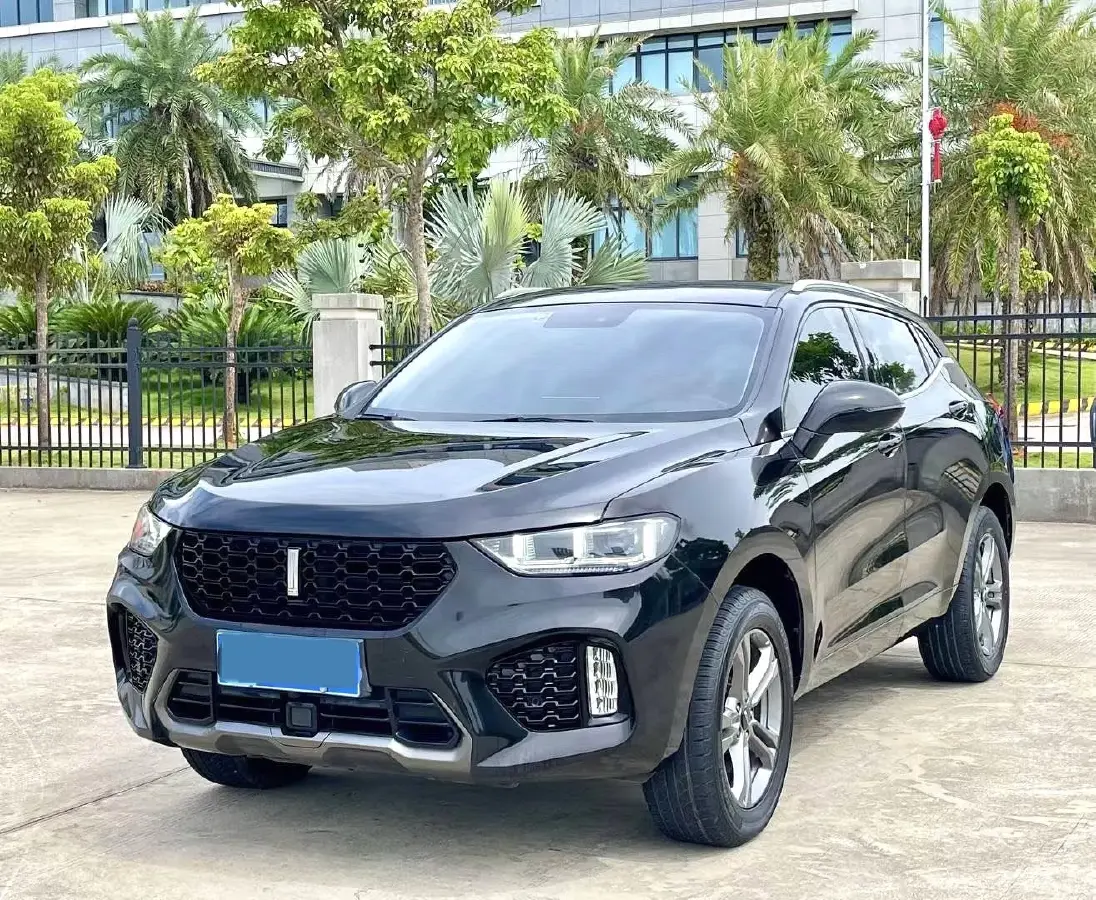 2019 WEY VV5 2.0T 197HP L4 7DCT