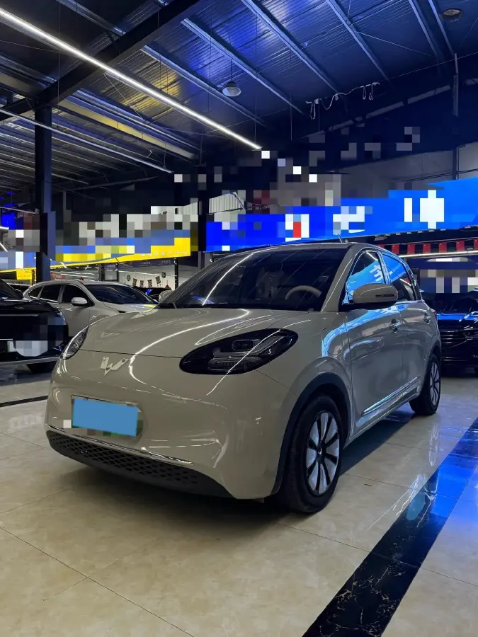 2023 WuLing BinGuo BEV 31.9KWH