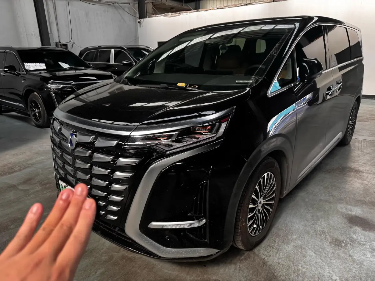 2023 Denza D9 1.5T 139HP L4 E-CVT PHEV 20.39KWH