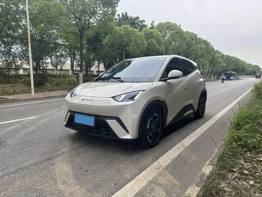 2023 BYD Seagull BEV 30.08KWH