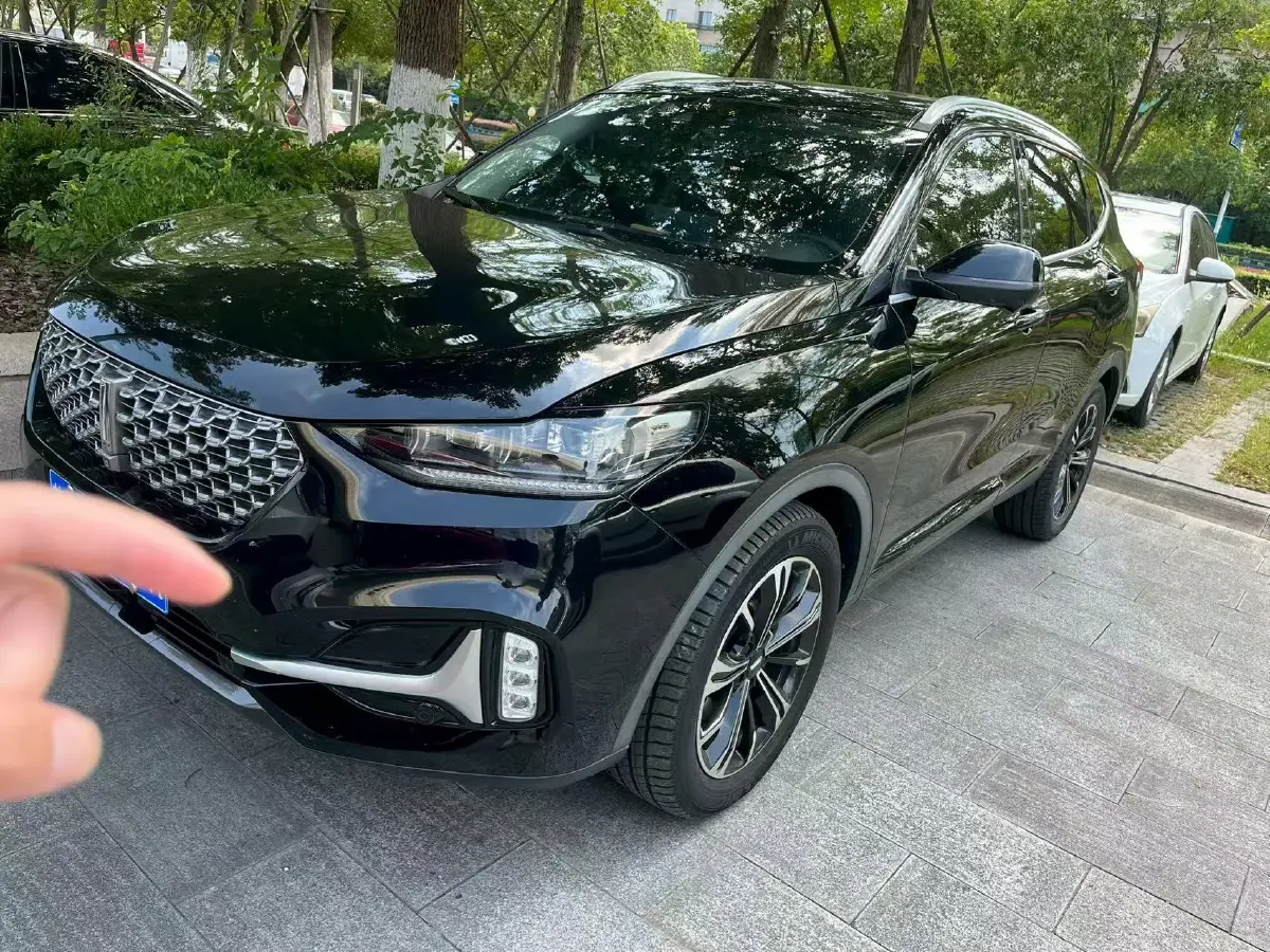 2021 WEY VV6 2.0T 227HP L4 7DCT