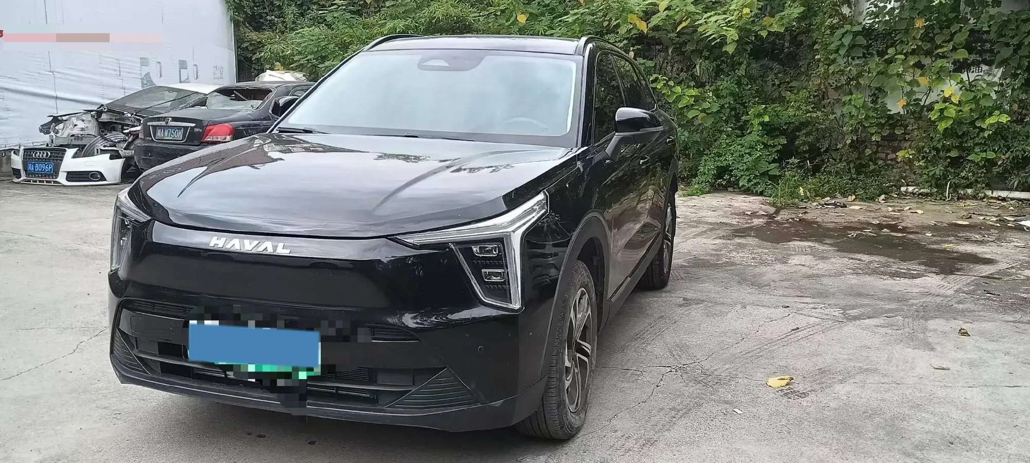 2023 Haval Fierce Dragon 1.5L 101HP L4 2DHT PHEV 19.27KWH