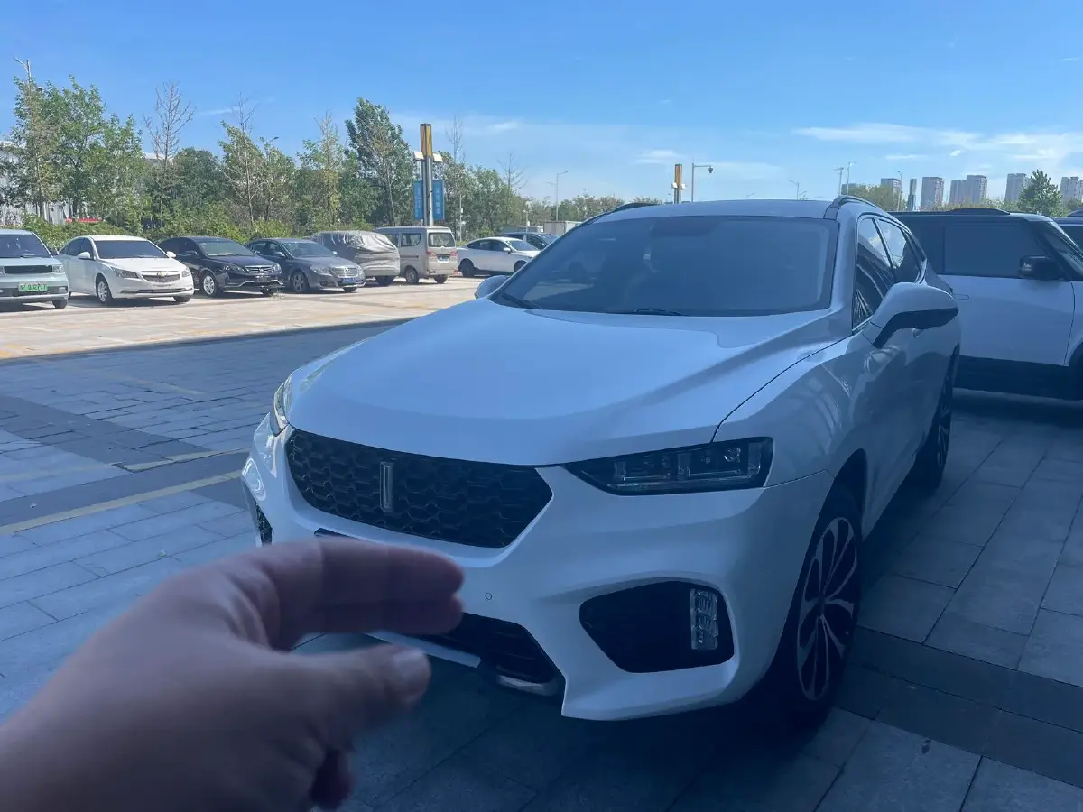 2017 WEY VV5 2.0T 197HP L4 7DCT