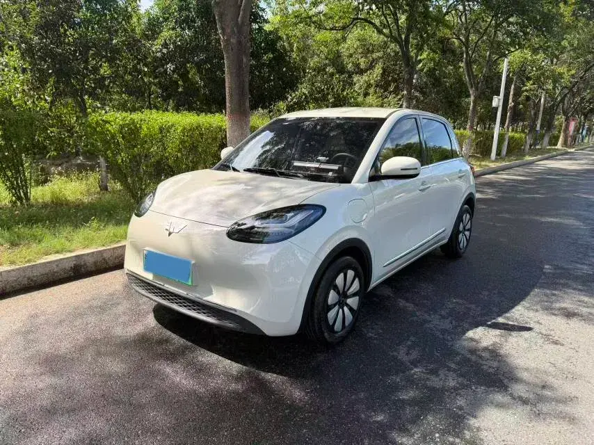2024 WuLing BinGuo BEV 31.9KWH
