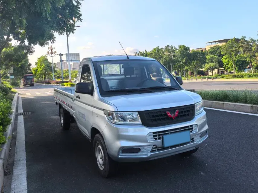2021 WuLing RongGuang New Truck Special 1.8L 125HP L4 5MT,autocango,china used car exporter,china ev exporter,chinese used car exporter,chinese used ev exporter