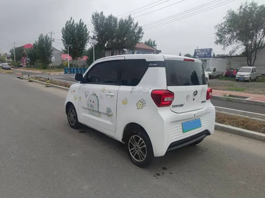 2023 BAW YuanBao BEV 9.6KWH,autocango,china used car exporter,china ev exporter,chinese used car exporter,chinese used ev exporter