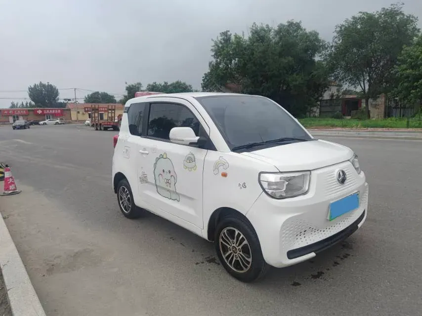 2023 BAW YuanBao BEV 9.6KWH,autocango,china used car exporter,china ev exporter,chinese used car exporter,chinese used ev exporter