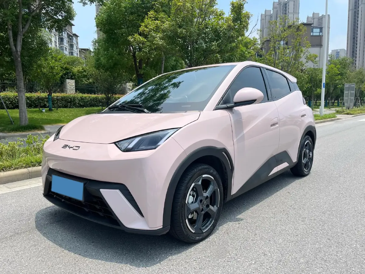 2024 BYD Seagull BEV 30.08KWH