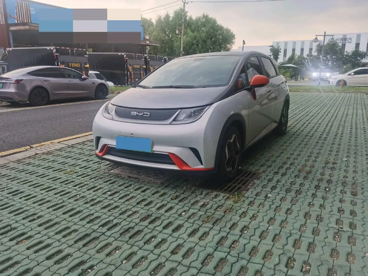 2021 BYD Dolphin BEV 44.9KWH