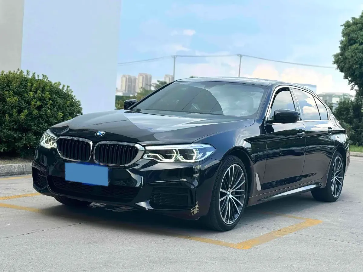2020 BMW 5 Series 2.0T 252HP L4 8AT