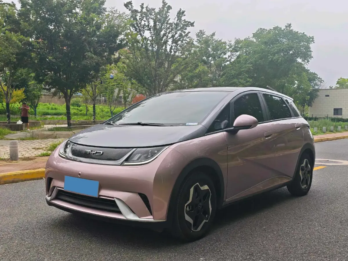 2021 BYD Dolphin BEV 44.9KWH