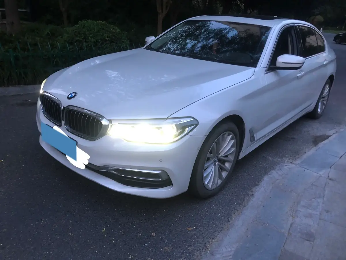 2020 BMW 5 Series 2.0T 252HP L4 8AT