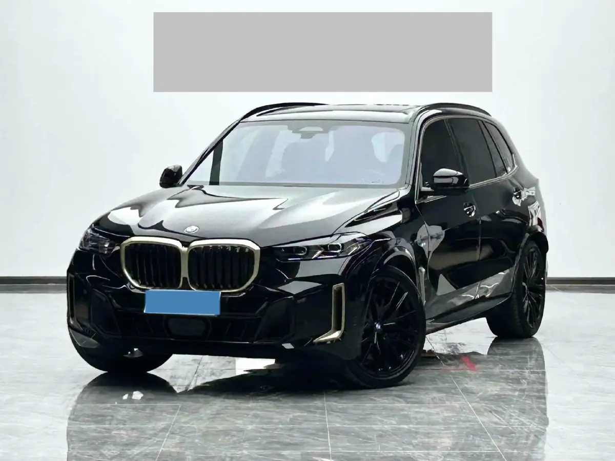 2024 BMW X5 3.0T 381HP L6 8AT