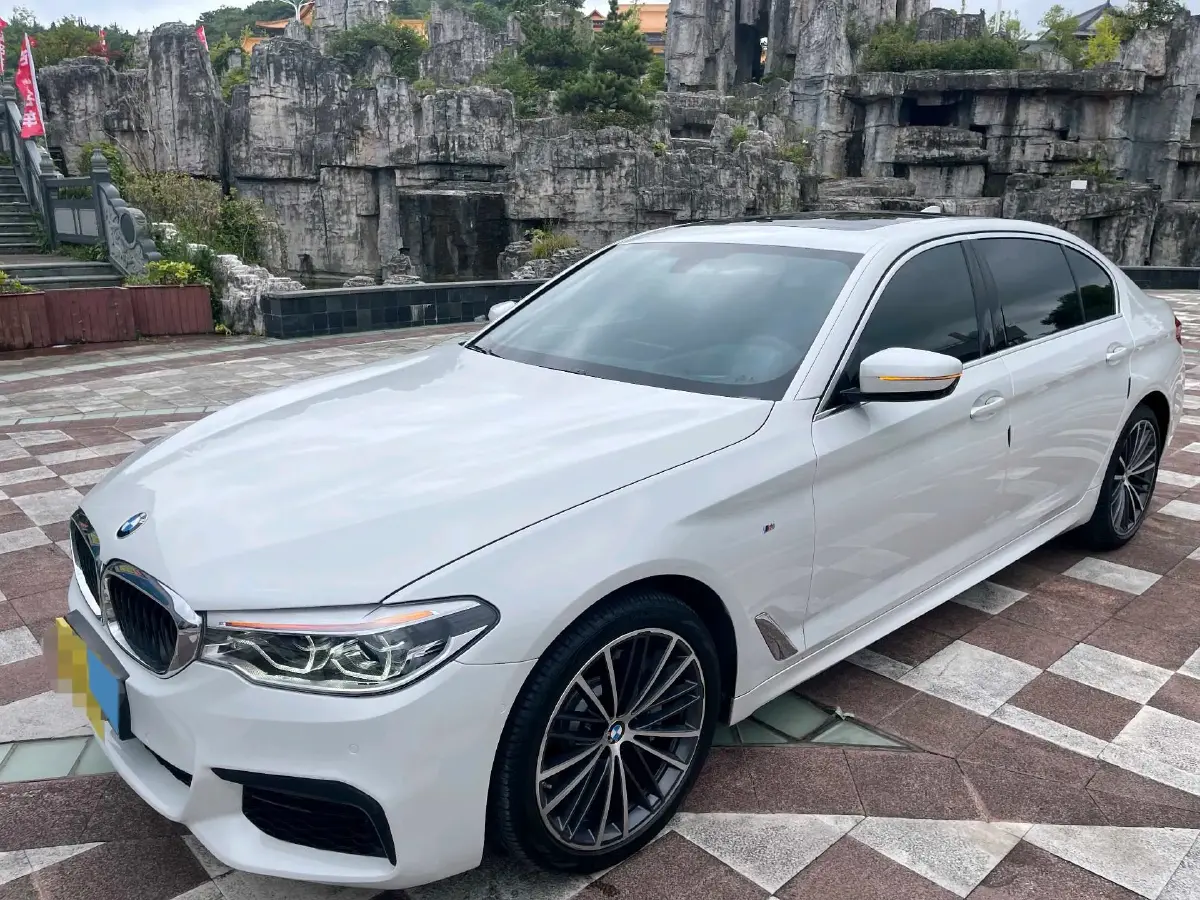 2020 BMW 5 Series 2.0T 252HP L4 8AT