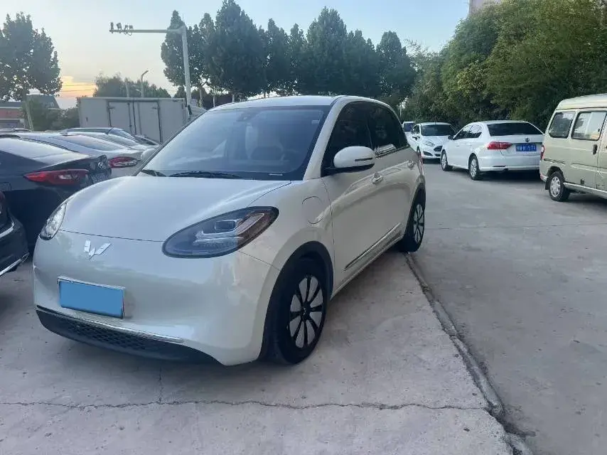 2023 WuLing BinGuo BEV 31.9KWH
