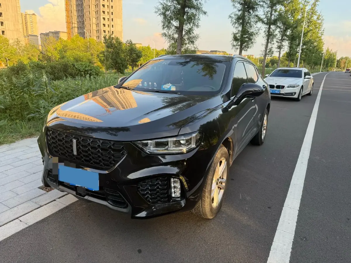 2019 WEY VV5 1.5T 169HP L4 7DCT