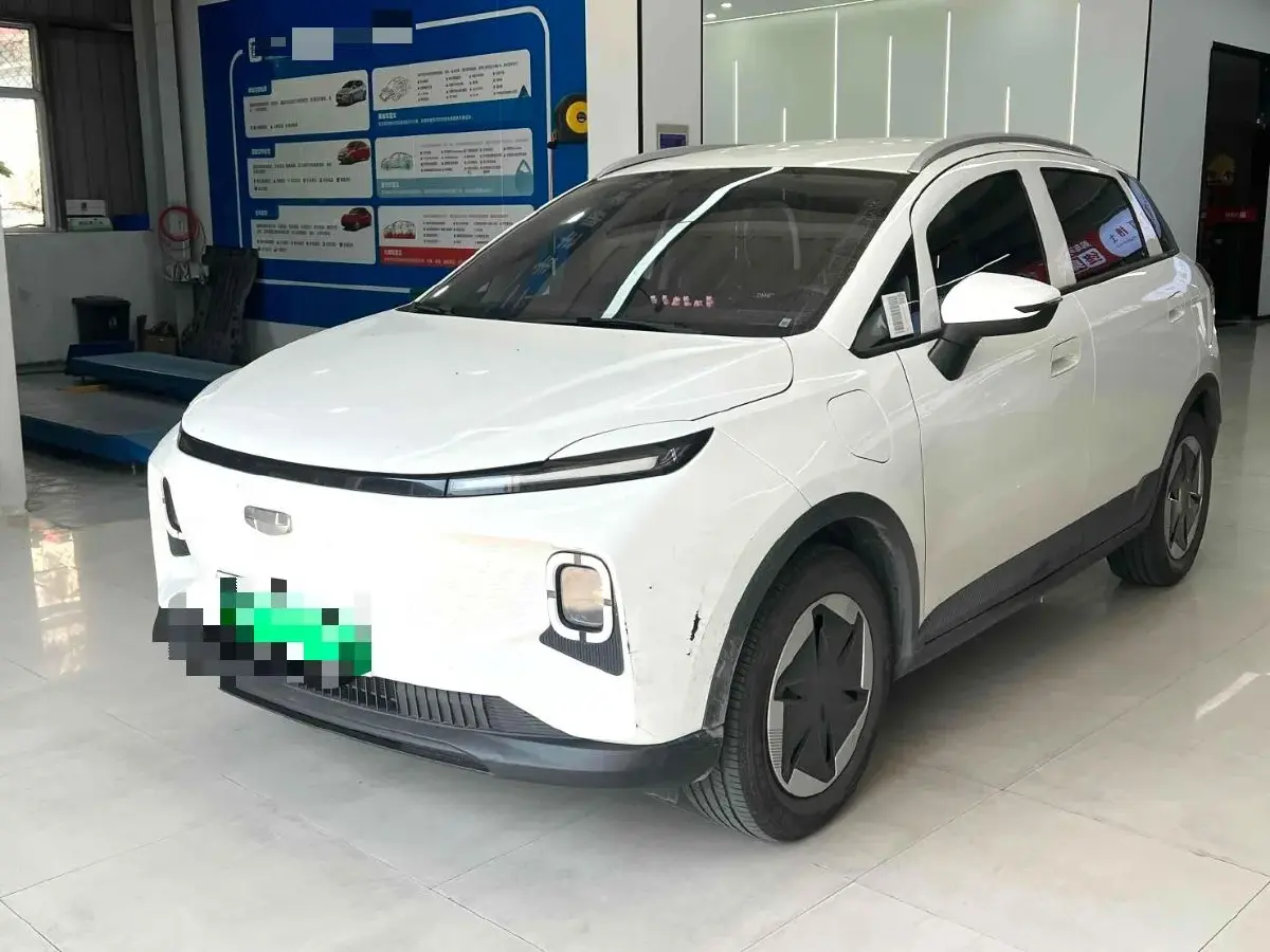 2024 Geometry E BEV 29.67KWH