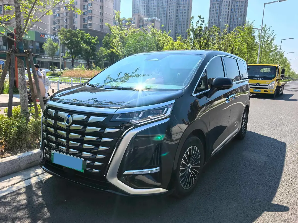 2022 Denza D9 1.5T 139HP L4 E-CVT PHEV 40.06KWH