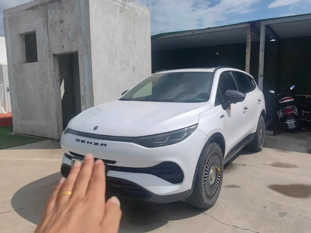 2020 Denza X 2.0T 192HP L4 6DCT PHEV 20KWH