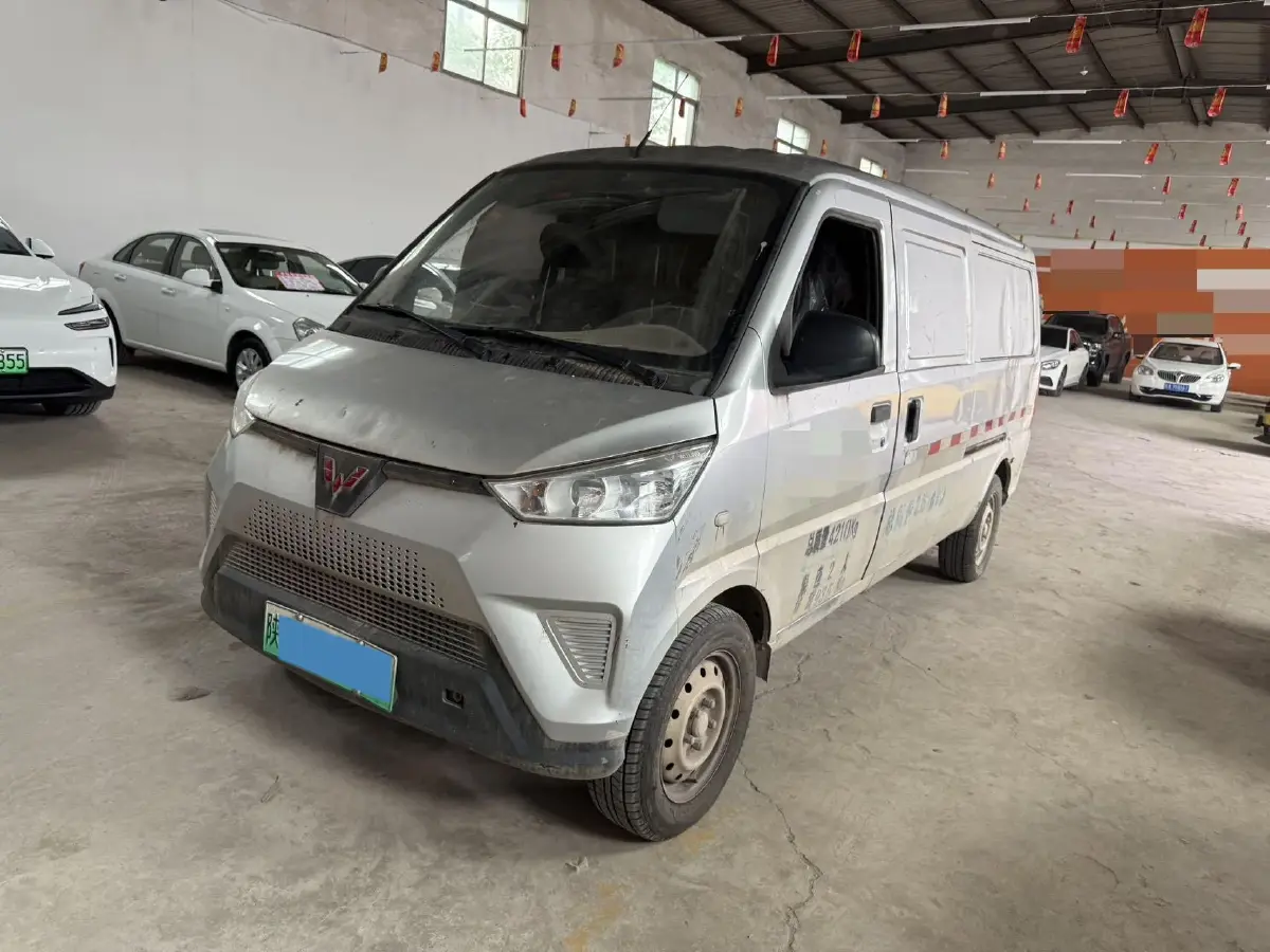 2020 WuLing EV50 BEV 43.2KWH
