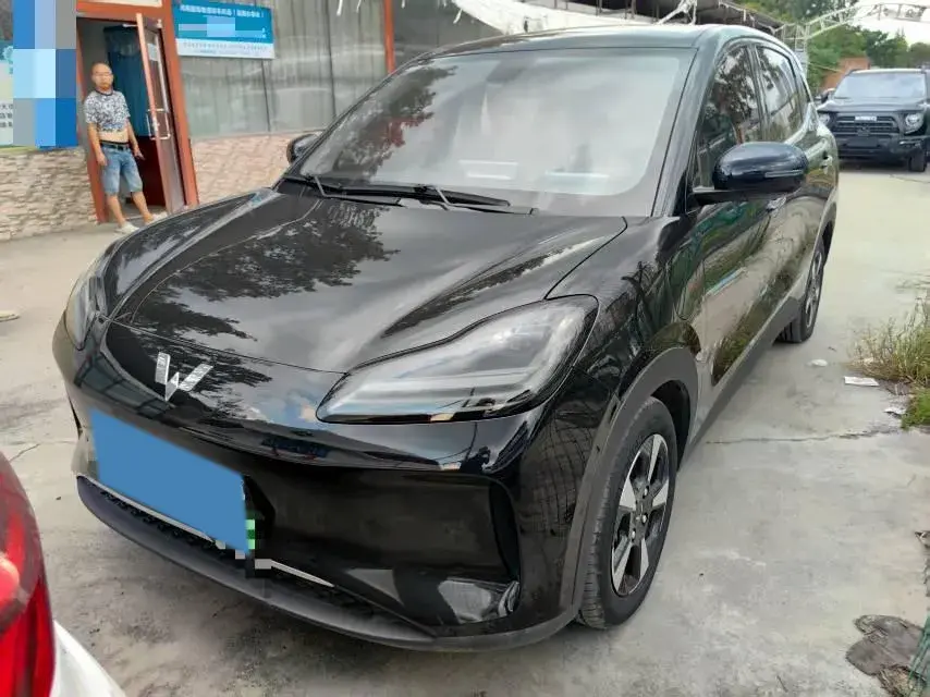 2024 WuLing BinGuoPLUS BEV 50.6KWH