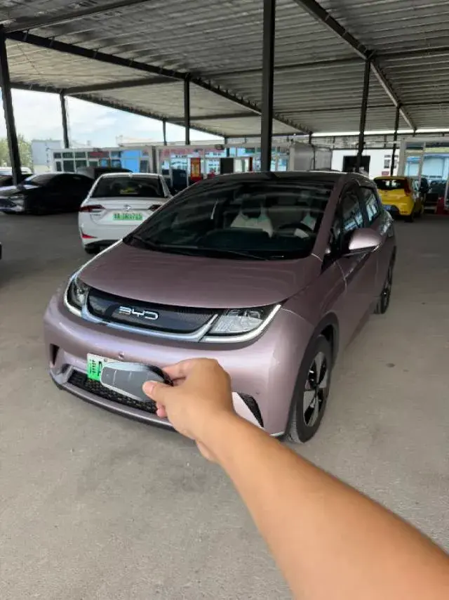2023 BYD Dolphin BEV 44.928KWH