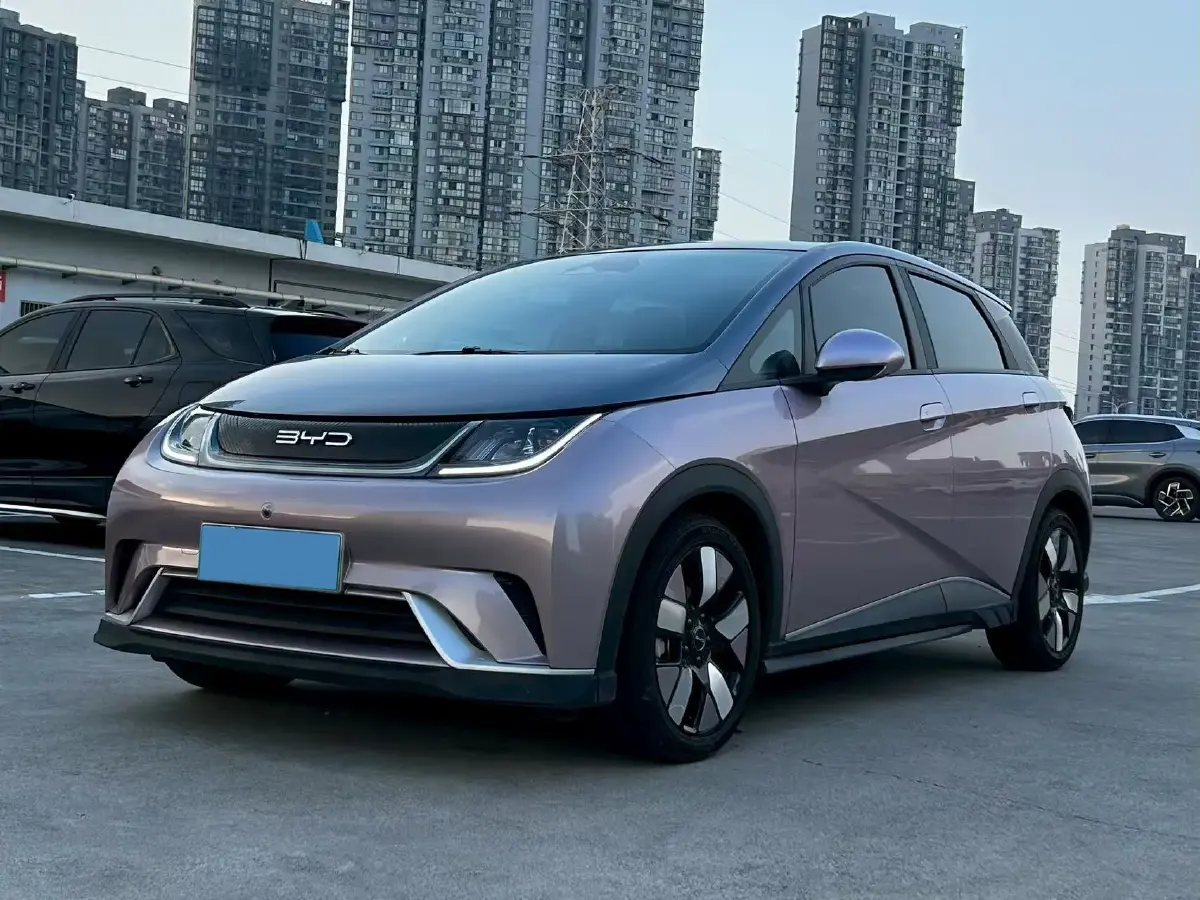 2021 BYD Dolphin BEV 44.9KWH