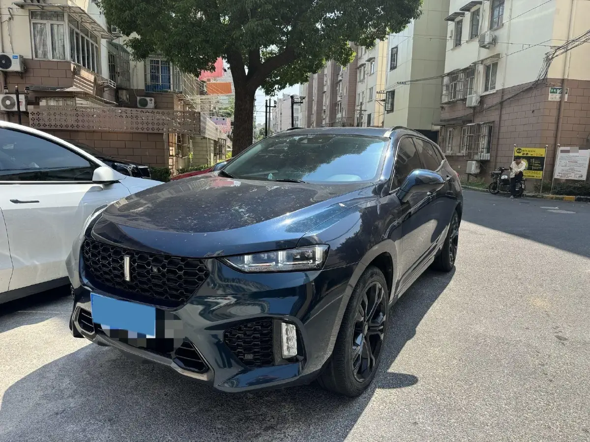 2019 WEY VV7 2.0T 227HP L4 7DCT