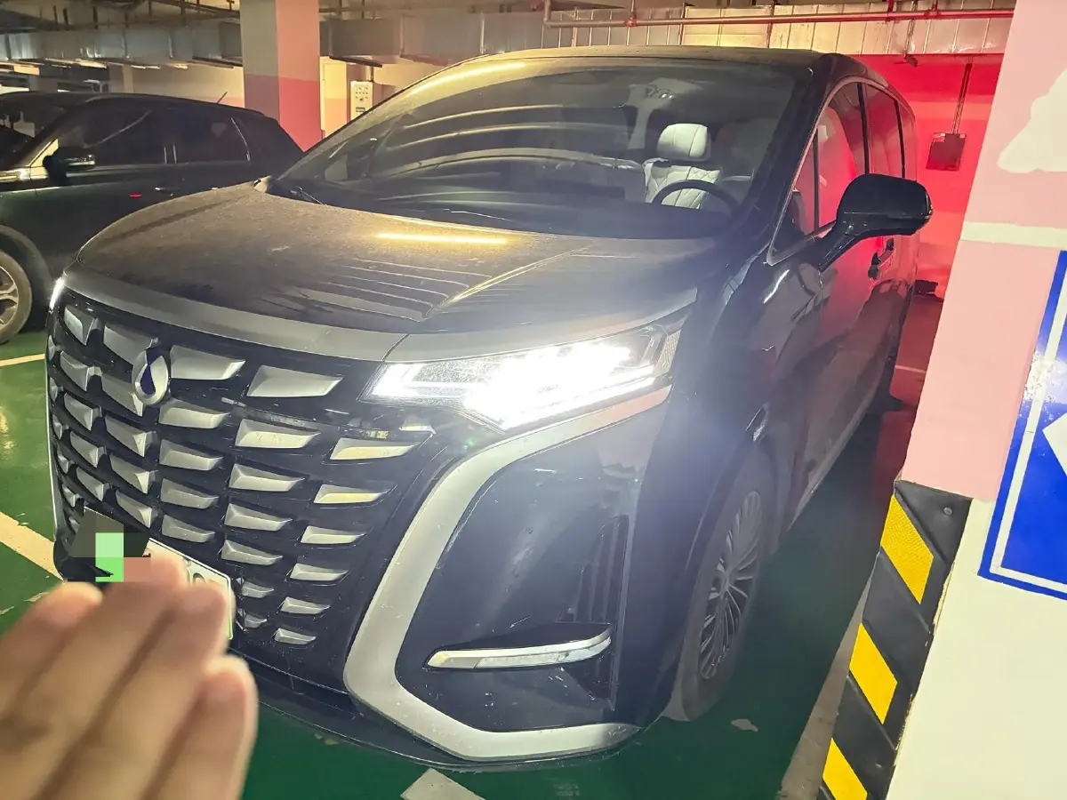 2022 Denza D9 1.5T 139HP L4 E-CVT PHEV 40.06KWH