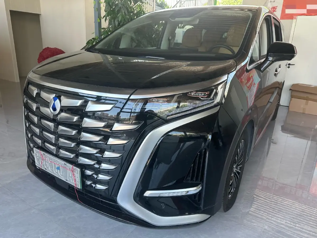 2022 Denza D9 1.5T 139HP L4 E-CVT PHEV 40.06KWH