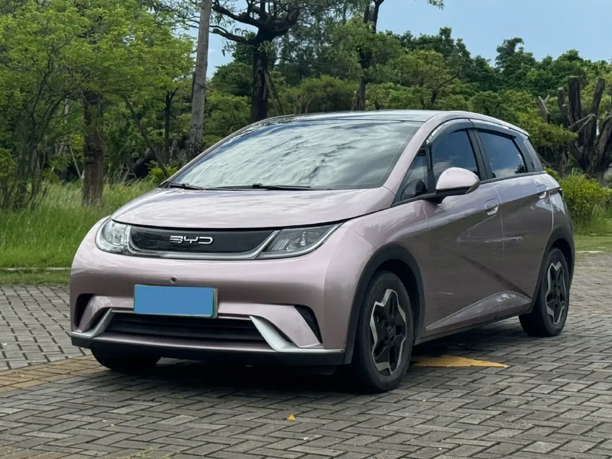 2021 BYD Dolphin BEV 44.9KWH