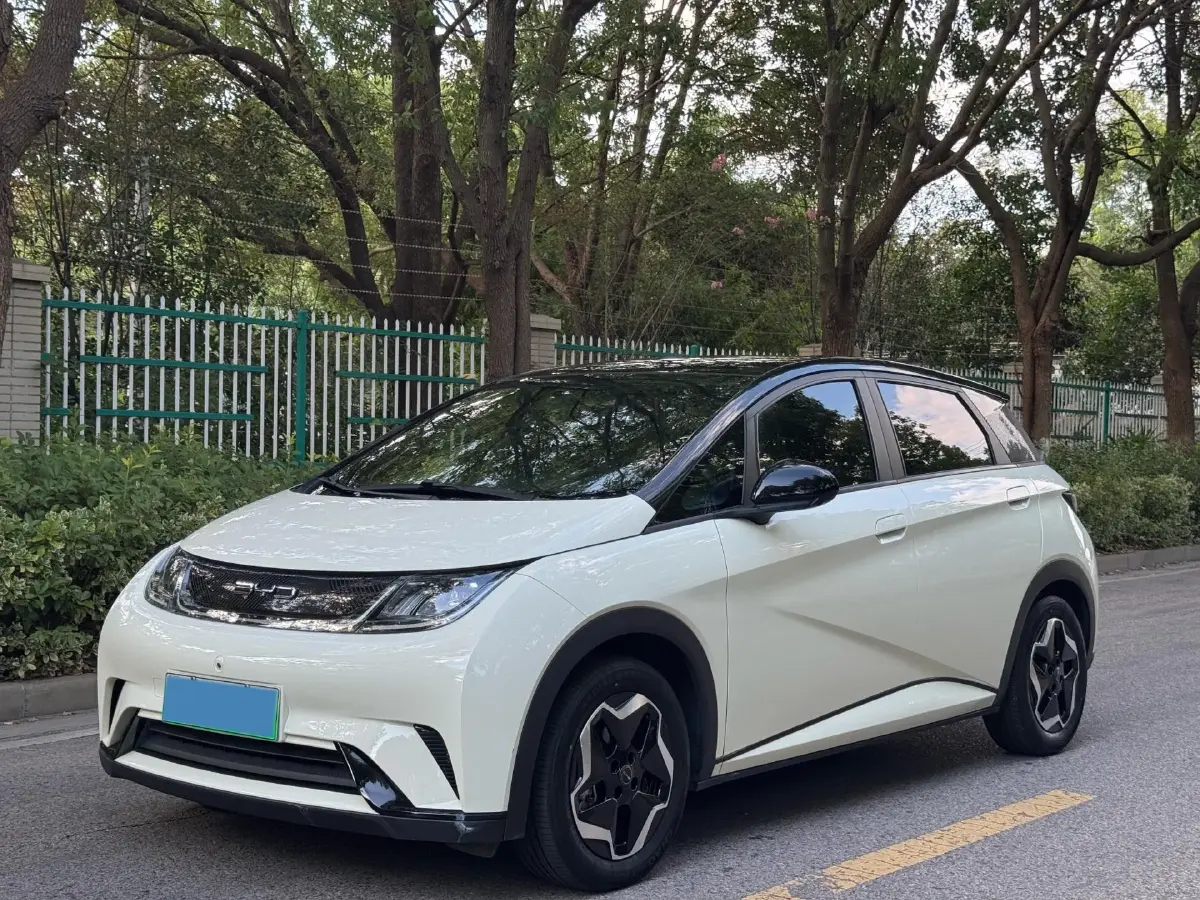 2021 BYD Dolphin BEV 44.9KWH